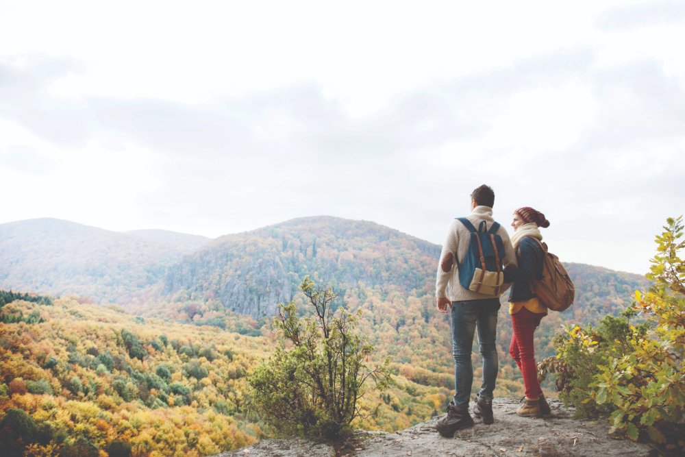 shutterstock 490265764 1